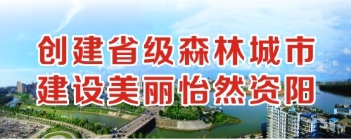 一插去就叫得直爽电影创建省级森林城市 建设美丽怡然资阳