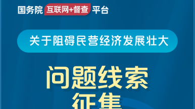 操日本女人B在线观看国务院“互联网+督查”平台公开征集阻碍民营经济发展壮大问题线索